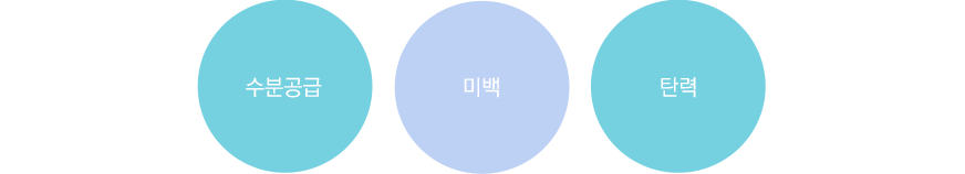 이온자임 항산화 관리